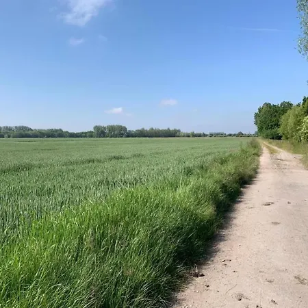 In With Sea Views Daire Nieuwpoort