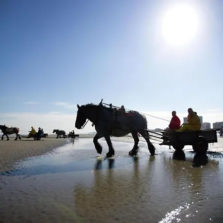 In With Sea Views Daire