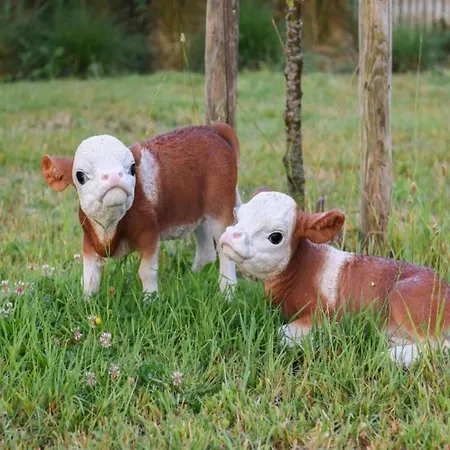 In With Sea Views Daire *