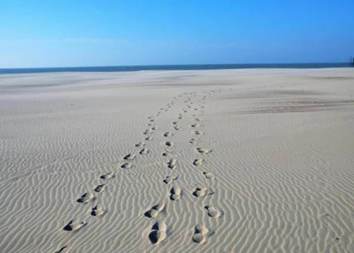 アパート In With Sea Views *